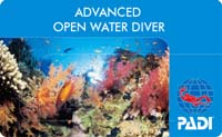 PADIアドバンス・オープンウォーターダイバーカード１