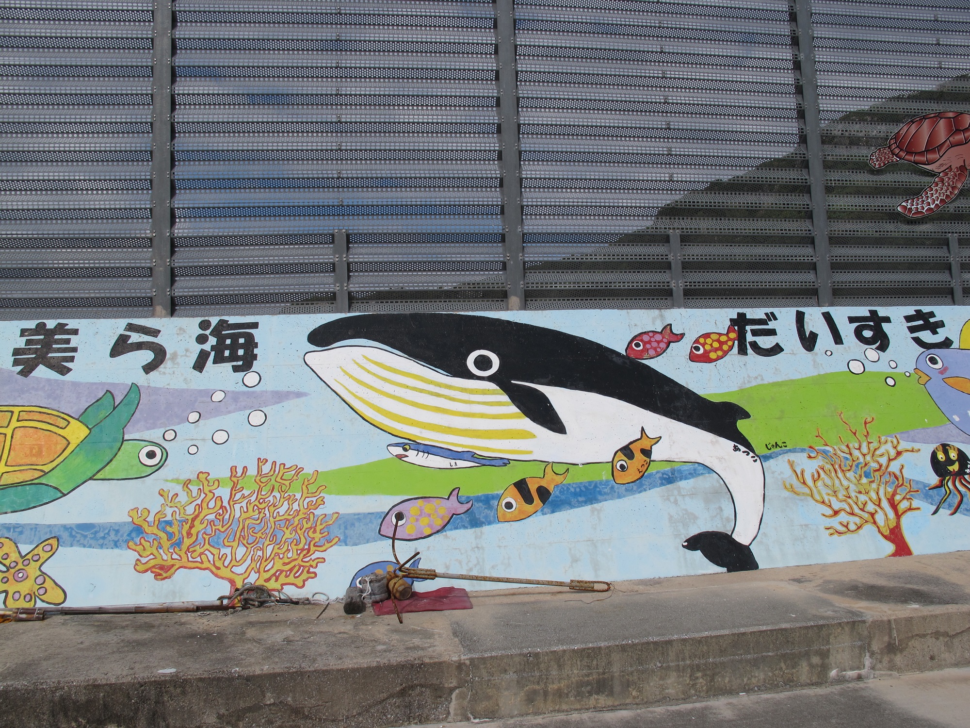 辺戸岬ダイビング