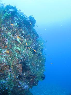 体験ダイビング１