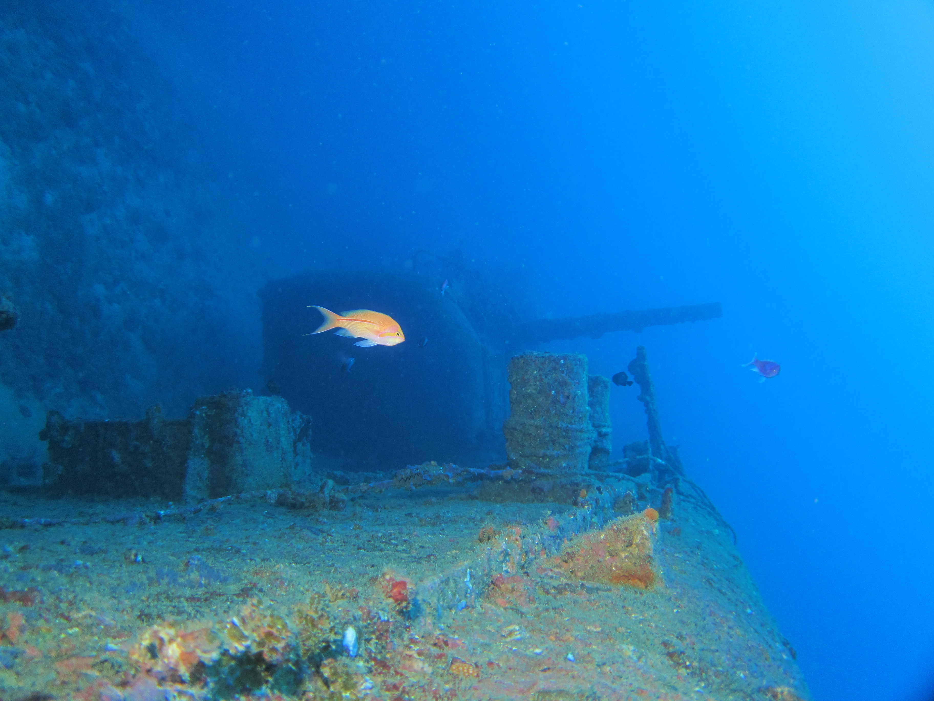 沈船ポイントＵＳＳエモンズ