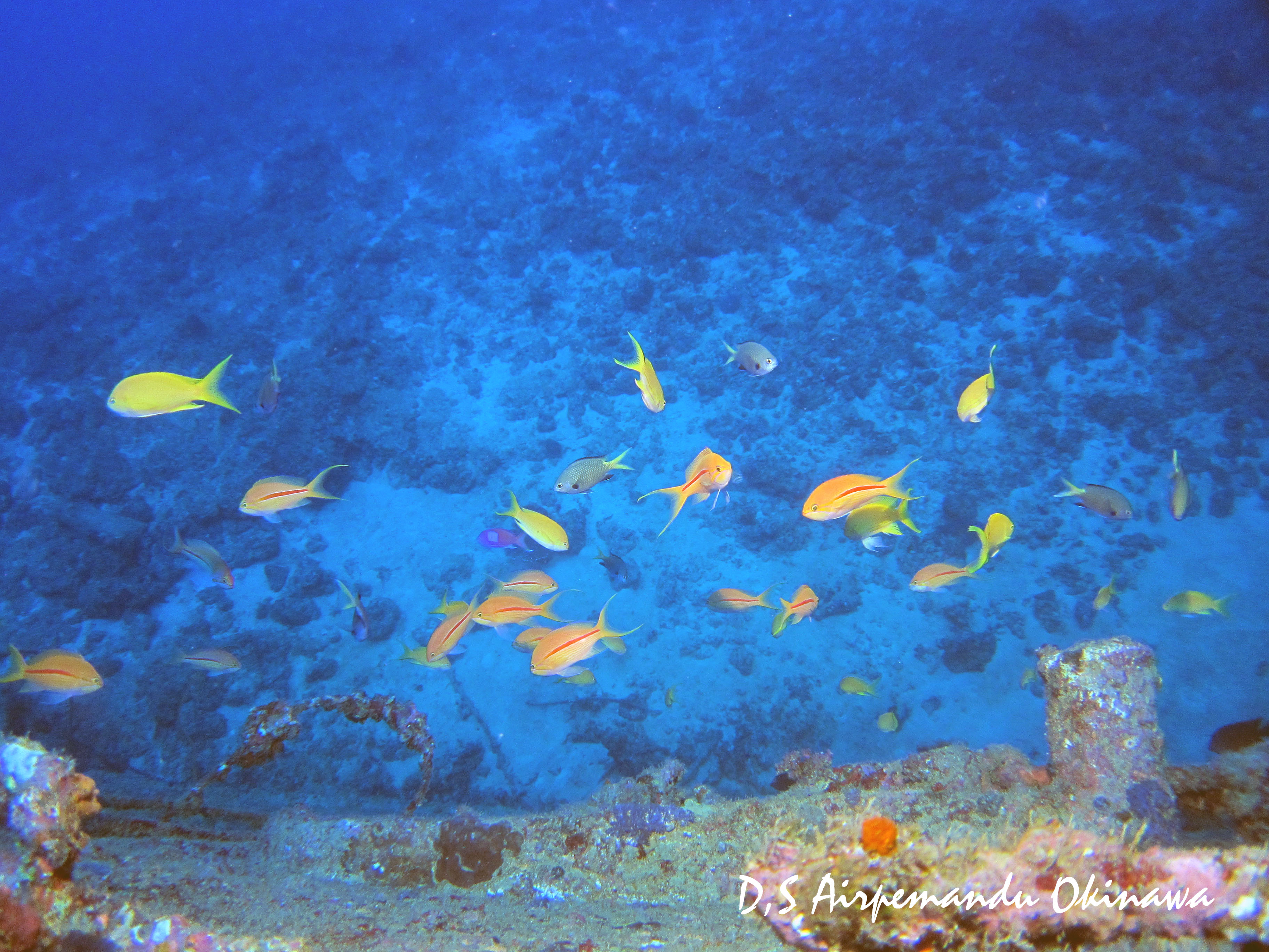 沈船ポイントＵＳＳエモンズ